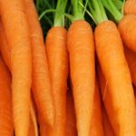 सर्दियों का सूपरफूड है गाजर, जानें इसे खाने के 6 जबरदस्त फायदे