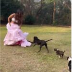 VIDEO: निया शर्मा के लिए आफत बन गया 'घाघरा', ऐसे पीछे पड़ गए कुत्ते