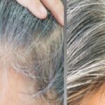 Hair Care Tips: सफेद बालों की समस्या से राहत पाने के लिए हफ्ते में सिर्फ 2 दिन करें इस तेल का इस्तेमाल !