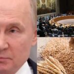 दूर होगा दुनिया का खाद्य संकट: 5 महीने के युद्ध के बाद पहली बार रूस-यूक्रेन में समझौता