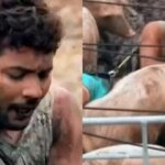 Khatron Ke Khiladi 12: सुअरों ने मार-मार कर किया निशांत भट्ट का बुरा हाल, देखें VIDEO