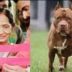 Lucknow Dog Attack: बेटे के पालतू Pitbull ने ली मां की जान, बचने के लिए मालकिन ने किया था संघर्ष