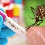 Health Care Tips: मानसून में ज्यादा होता है डेंगू का खतरा, बचने के लिए इन बातों का रखे ध्यान !