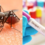 सावधान! डेंगू पीड़ितों को कोरोना का खतरा, इस तरह करें अपना बचाव