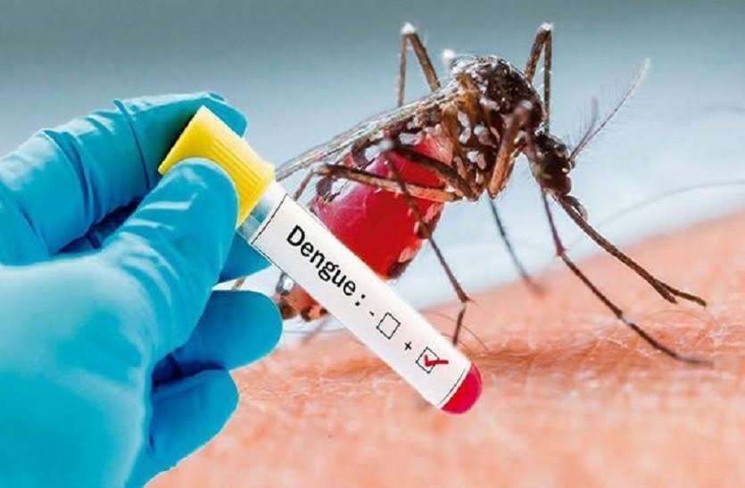 क्या आप जानते है कौनसे मच्छर के काटने से आता है डेंगू बुखार?