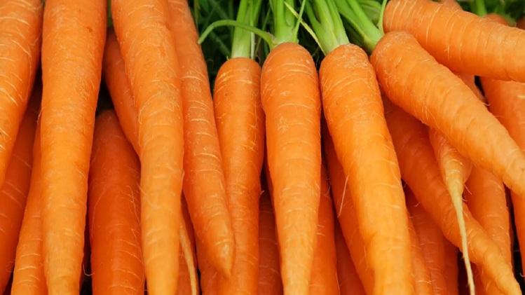 सर्दियों का सूपरफूड है गाजर, जानें इसे खाने के 6 जबरदस्त फायदे