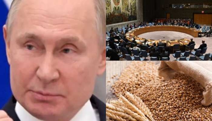 दूर होगा दुनिया का खाद्य संकट: 5 महीने के युद्ध के बाद पहली बार रूस-यूक्रेन में समझौता