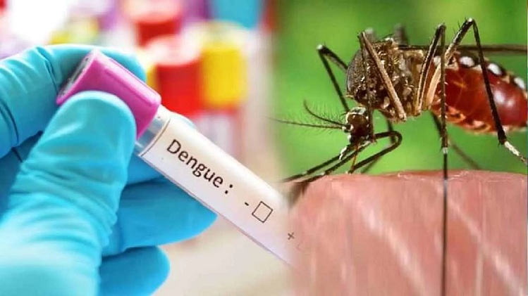 Health Care Tips: मानसून में ज्यादा होता है डेंगू का खतरा, बचने के लिए इन बातों का रखे ध्यान !