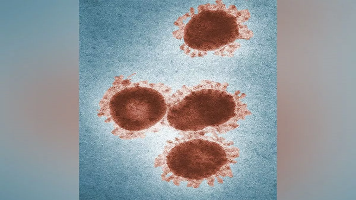 रूस में वैज्ञानिकों ने 48,500 साल पुराने Zombie Virus को किया जिंदा, यह है कोविड से बड़े खतरे की घंटी