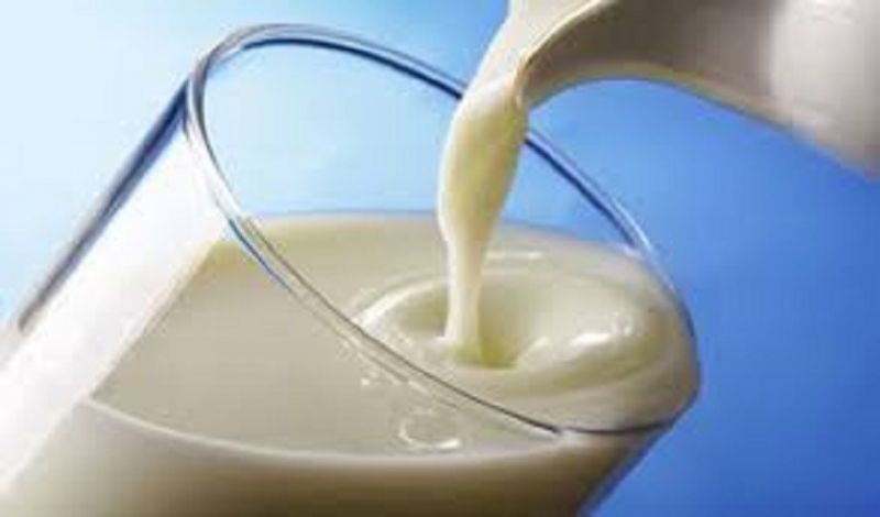 Health Care Tips: नियमित रूप से एक गिलास दूध का करें सेवन, डायबिटीज का खतरा होगा कम !