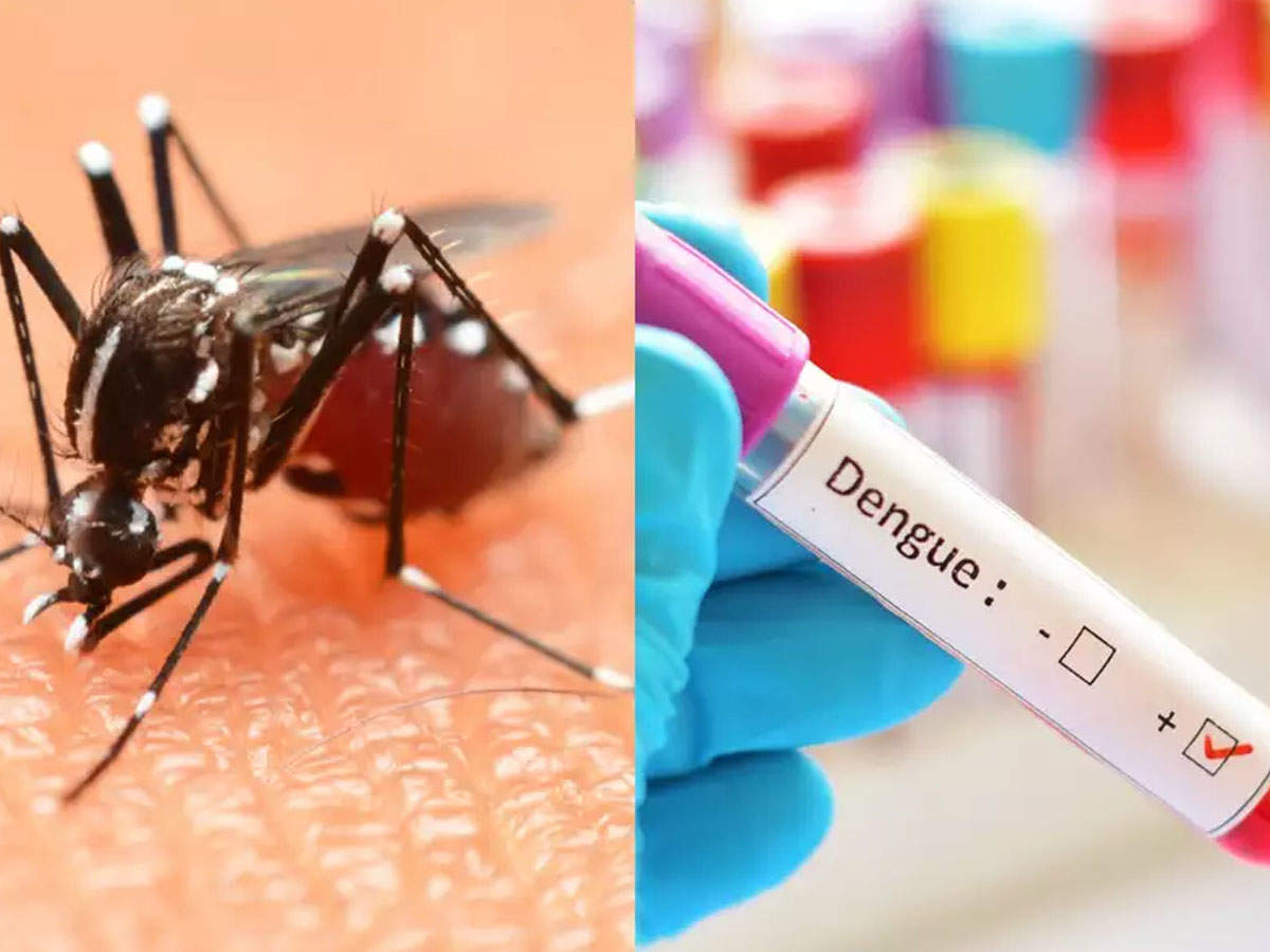 सावधान! डेंगू पीड़ितों को कोरोना का खतरा, इस तरह करें अपना बचाव