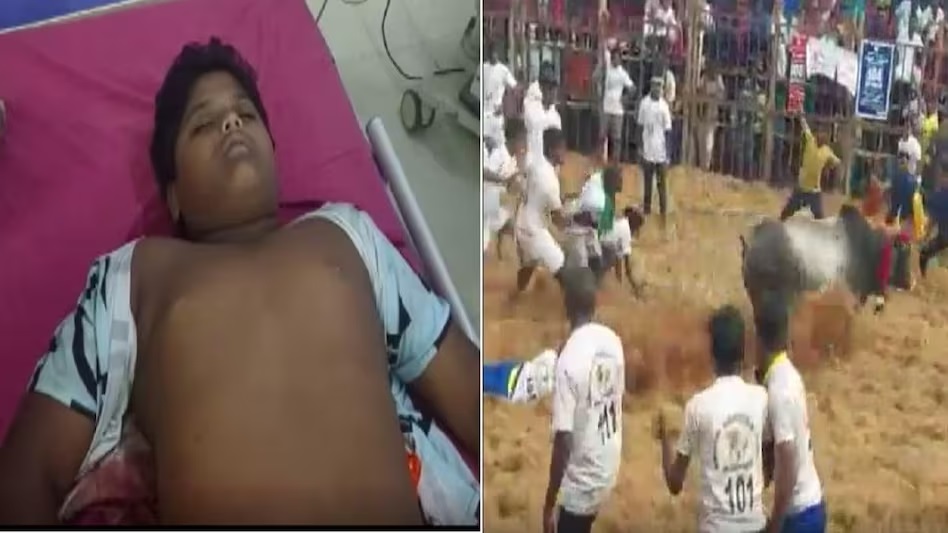 जलीकट्टू के दौरान 14 साल के बच्चे की मौत, पेट में लगा था बैल का सींग