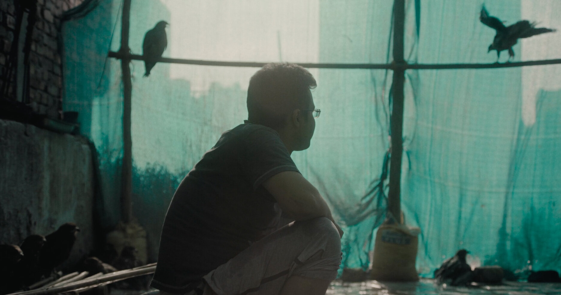 Oscar Nominations 2023: भारत की All That Breathes को डॉक्यूमेंट्री फीचर फिल्म कैटेगरी में मिला नॉमिनेशन
