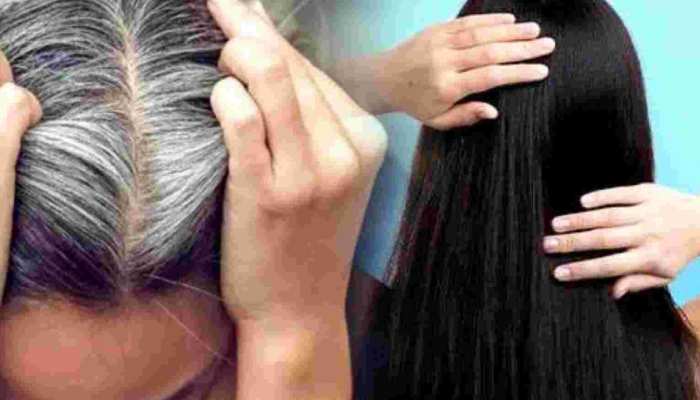 Hair Care Tips: सफेद बालों की समस्या से राहत पाने के लिए तिल के तेल का इस्तेमाल, मिलते है कई फायदे !