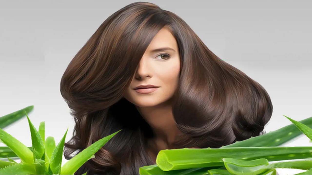 Hair Care Tips: एलोवेरा के इस्तेमाल से बिना पार्लर जाए अपने बालों को इस तरह से बनाएं मुलायम और चमकदार !