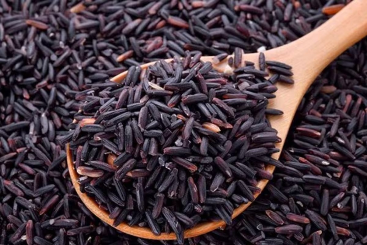 Vastu Tips: वास्तु शास्त्र के अनुसार काले चावल के करें ये उपाय, जीवन में आने वाली हर तरह की बाधाओं से मिलेगी मुक्ति !