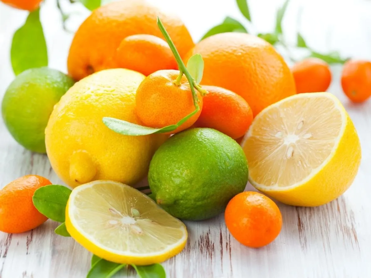 Health Care Tips: गर्मियों में इन फलों का करे सेवन, पाचन से जुड़ी समस्या होगी दूर !