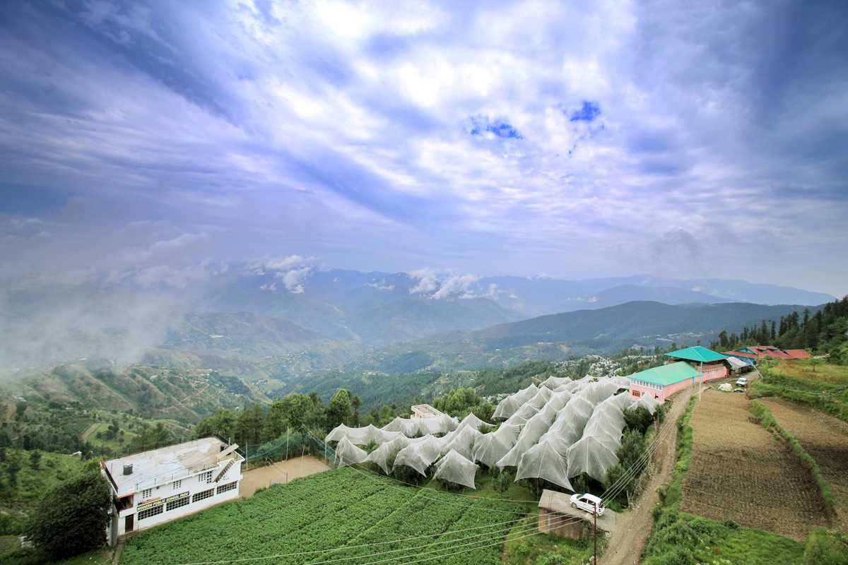 Travel Tips: इस बार आप घूमने के लिए हिमाचल प्रदेश के खूबसूरत गांव फागू का करें प्लान, ट्रिप होगी यादगार !