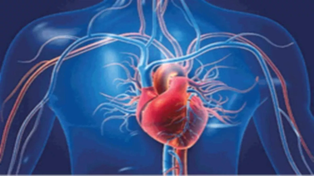Health Care Tips: दिल की नसें ब्लॉक होने पर शरीर में दिखाई देने लगते हैं ये लक्षण, भूलकर भी ना करे नजरअंदाज !