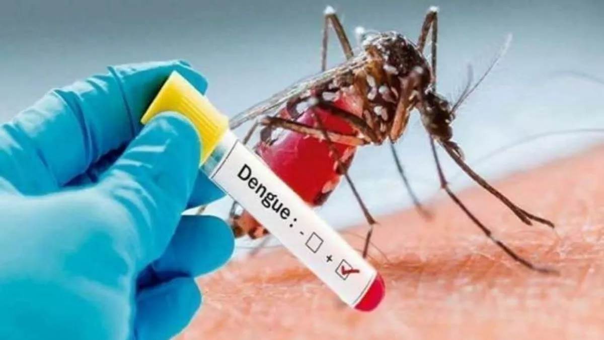 Health Care Tips: डेंगू मलेरिया के खतरे को कम करने के लिए घर में जरूर लगाए मच्छरों को भगाने वाले ये पौधे !