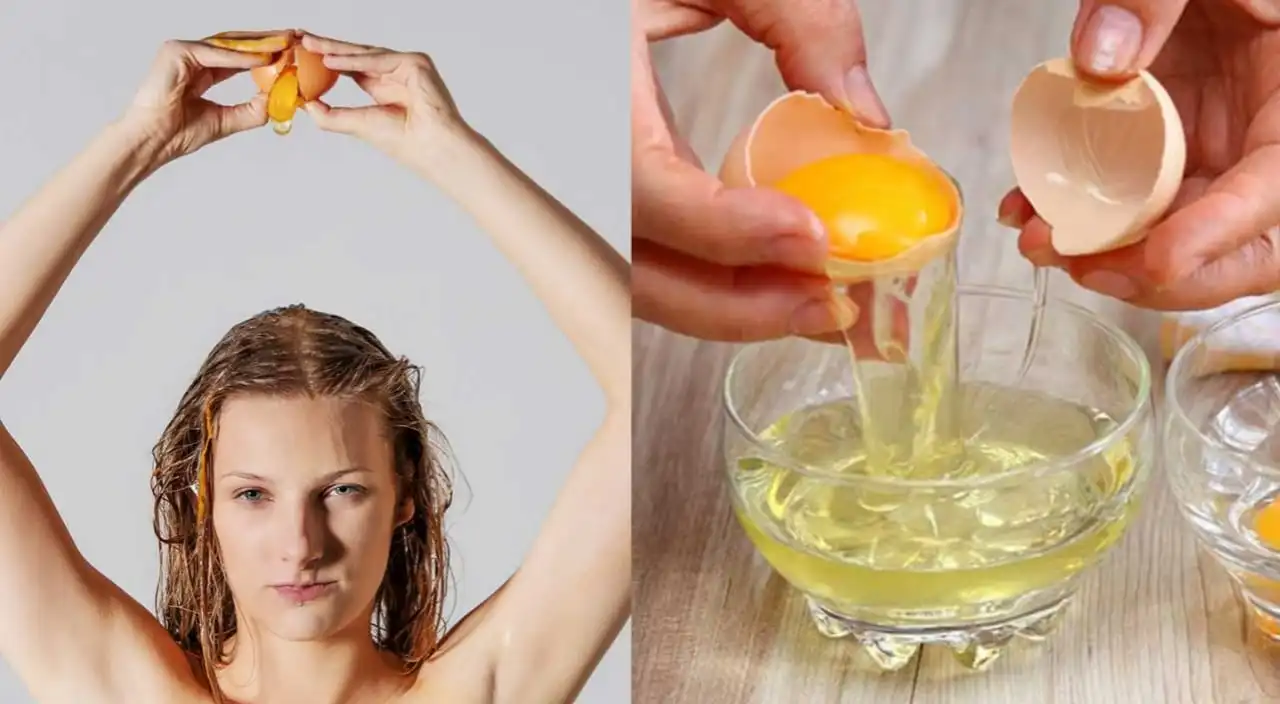 Hair Care Tips: सेहत के साथ-साथ बालों के लिए भी बहुत फायदेमंद होते हैं अंडे, इस तरह करें इस्तेमाल !