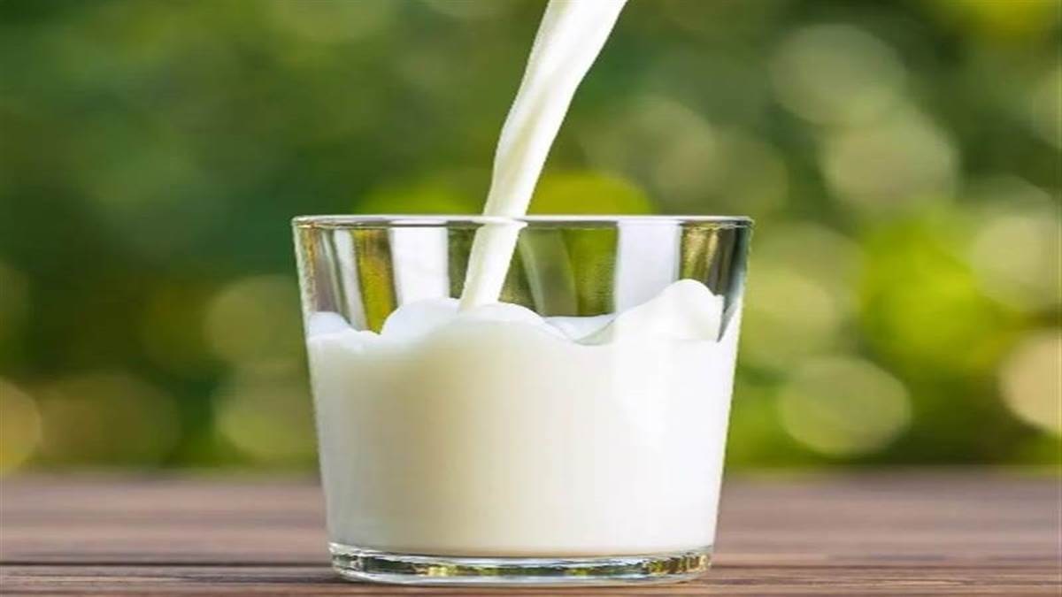 Health Care Tips: दूध के साथ इस एक चीज को मिलाकर करें सेवन, हड्डियों से लेकर नींद से जुड़ी समस्याएं होंगी दूर !