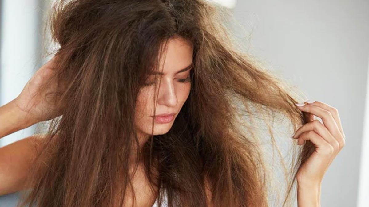 Hair Care Tips: धूप में बालों को डैमेज होने से बचने के लिए फॉलो करें ये आसान टिप्स !